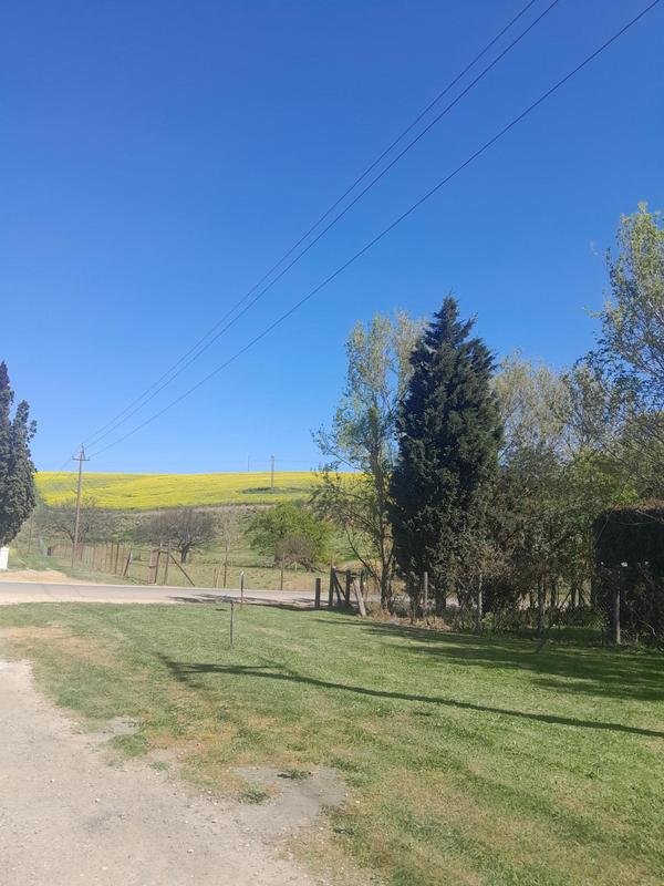 4 Bedroom Property for Sale in Caledon Western Cape